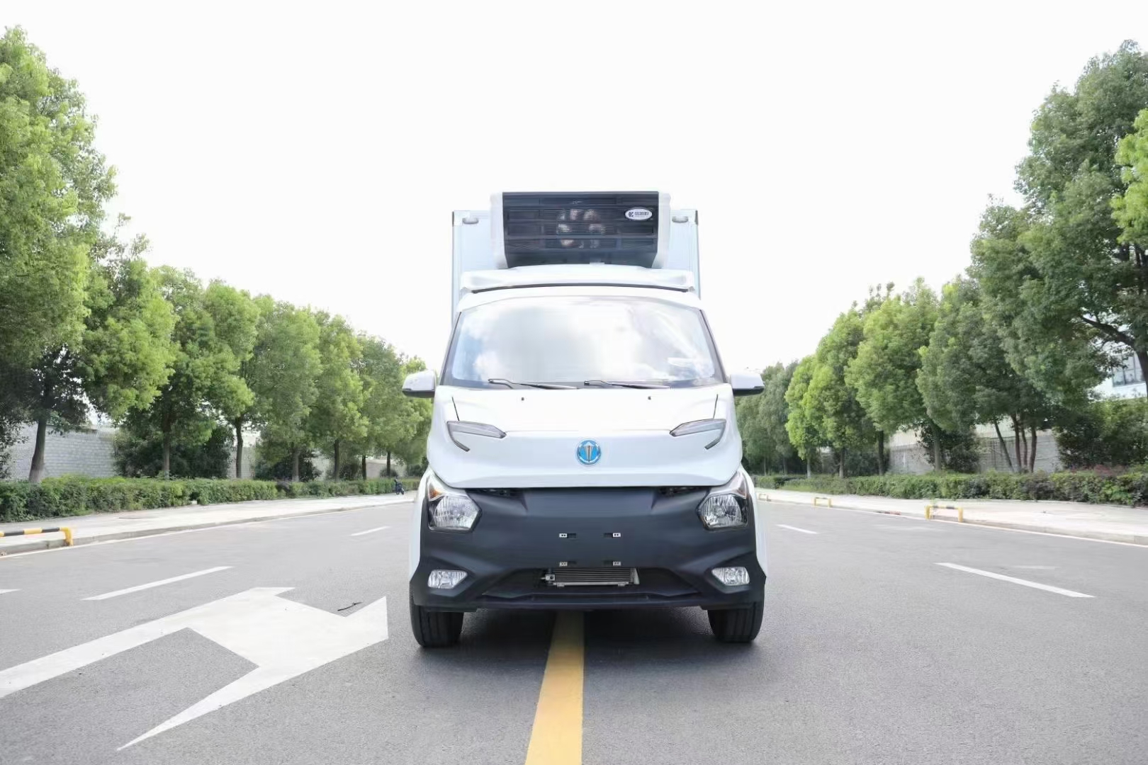 飛碟新能源純電微卡冷藏車