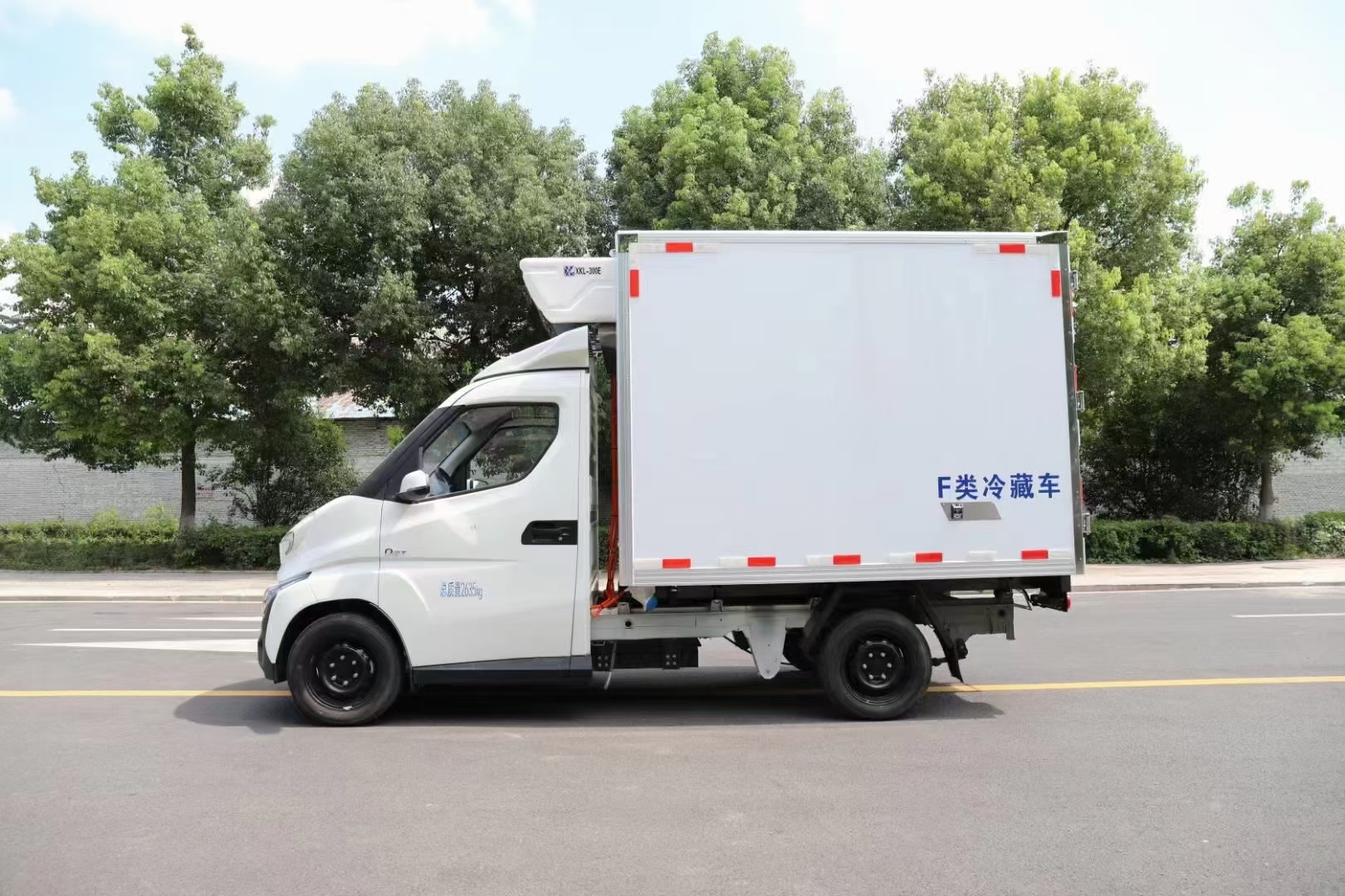 飛碟新能源純電微卡冷藏車